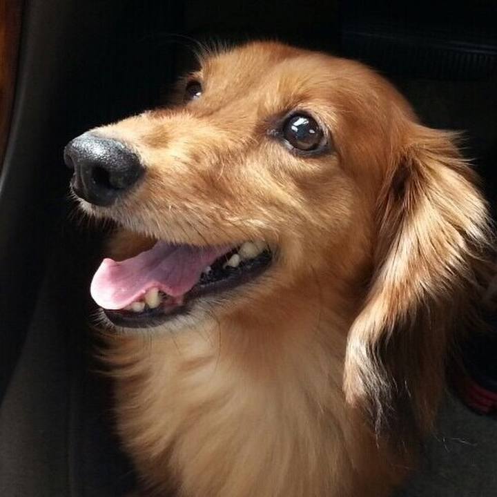 948a508a 1d26 49a1 a071 a881d91a2935 1546815963885