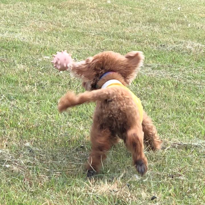 948a7440 d053 4da2 98f6 f66951d015c2 1569373785210