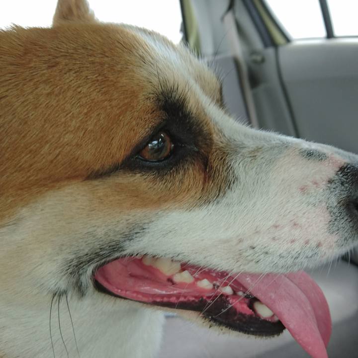 948a9079 d63b 4442 b2af 6a1c8a276a49 1590544003837