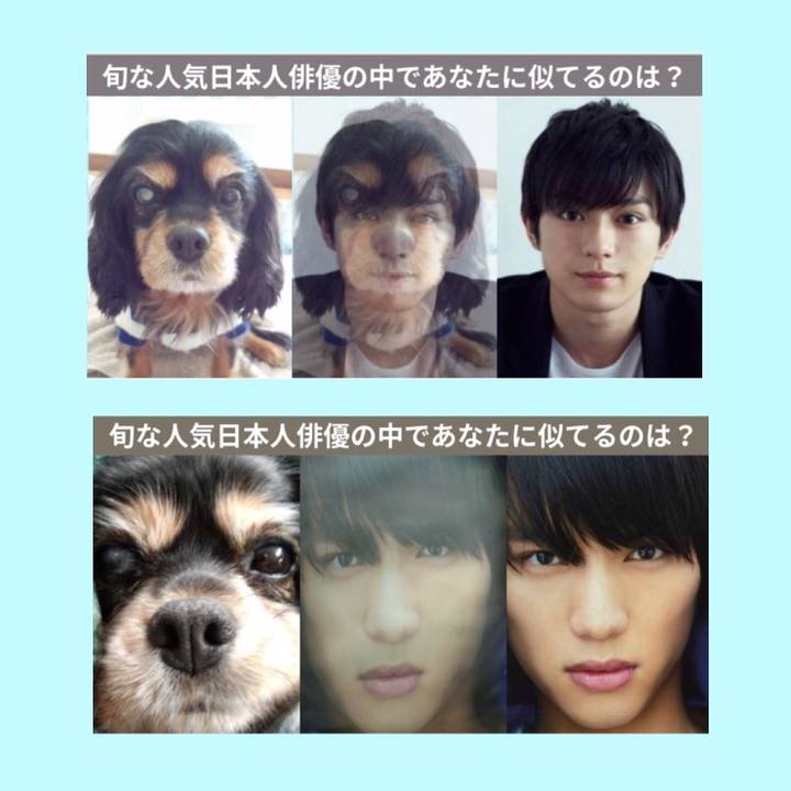 948aaaec ce8d 46c3 b3a2 059339476b07 1528539264133