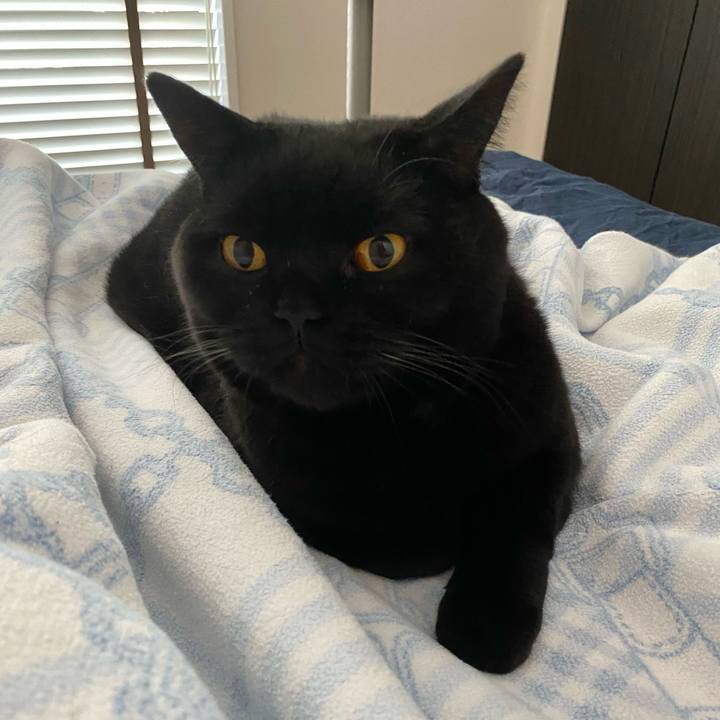 948ac925 7fa9 483c 8729 6c2855640803 1697674360599