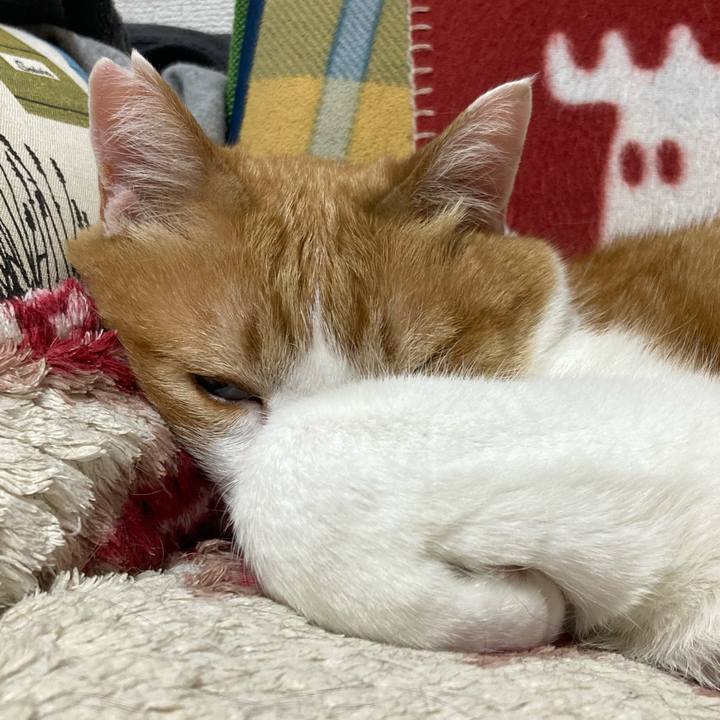 948aee6e 6c74 45ac a4bf da061bb0ce8d 1753800306161