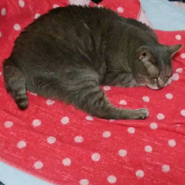 948af1ba dbb6 45e2 b195 2e5fa698d4fd 1589729040935