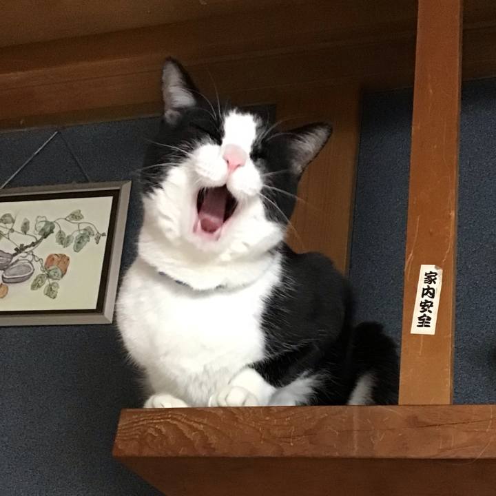 948b12ce 0197 4572 b9d8 cbe9c433b41f 1674479605925