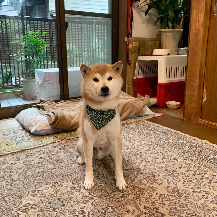 948b4910 4584 405b afc1 3ea6f7895e0f 1650276405520