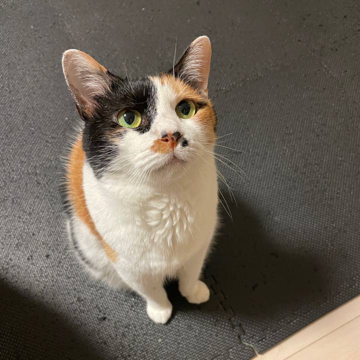 948b59dc 1f7c 4521 ae8d 2a8b8681919b 1719180116551