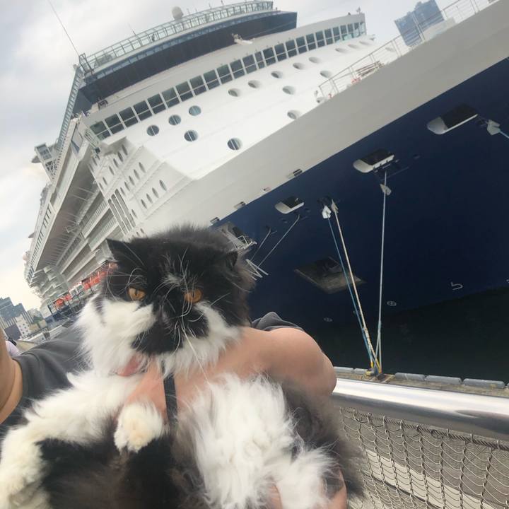 948b7abe fe93 4290 826c 6504f2516cf4 1699152811491