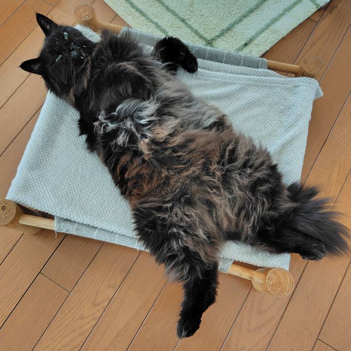 948bb963 ca8d 4242 bf57 bf9bda94f5cf 1774137734167