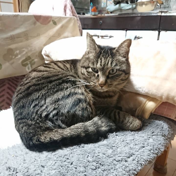 948bc273 9b26 4a65 bafb 0daf3d365e5f 1644093313788