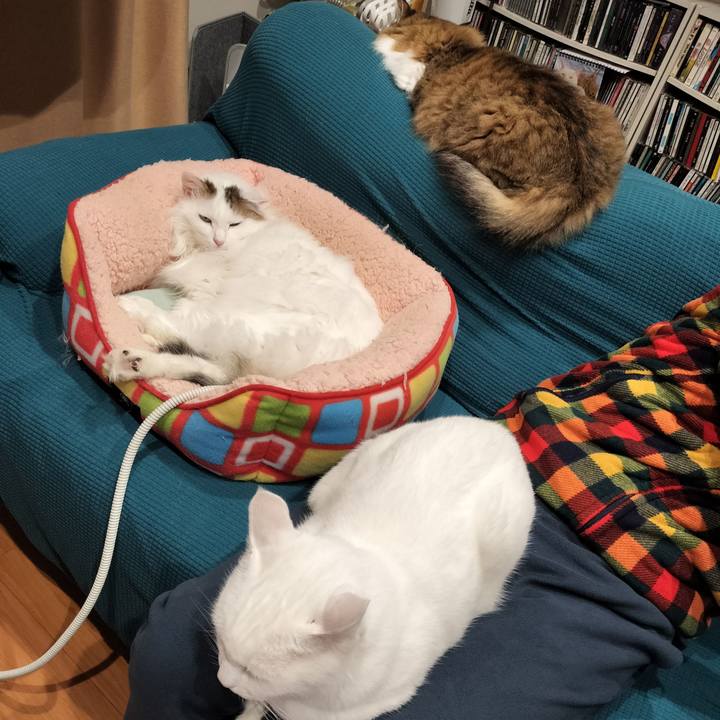 948bd8da 3b61 4153 92b6 5ff2b582c3ff 1766633975864