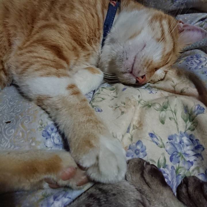 948bfd12 b26b 4b8d 8611 963b31b66dd5 1563367415688