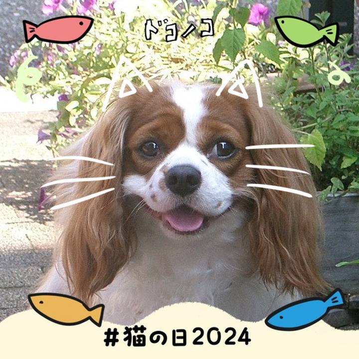 948c0840 d519 4535 914e c34bfb07f8df 1708601561840