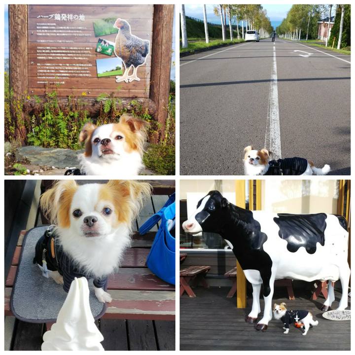 948c1b2b 2015 46d3 b752 cd75bee1098e 1538205885647