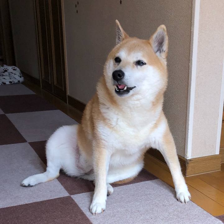 948c4a73 39a8 41e2 aa92 ffc5502b2828 1588654145476