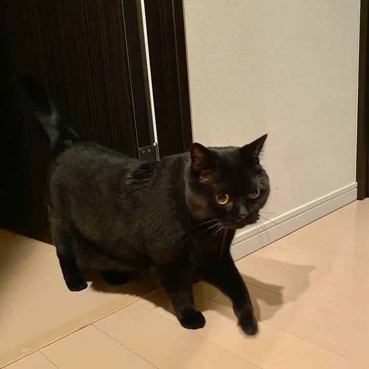 948c6653 58d8 4c3f 9ae7 58be2b1a964a 1637922842808