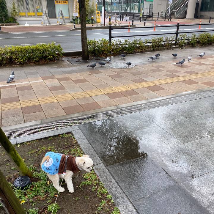 948c85e9 fe0e 46ab 990b 3b5549c5a7cf 1579070396258