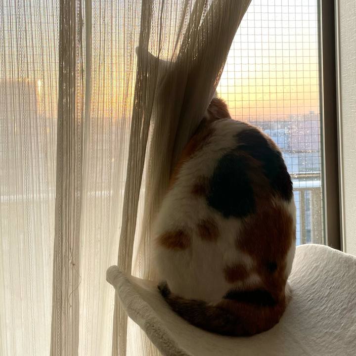 948c93e1 93ab 4474 9f38 516b41bdd5c8 1645863253390