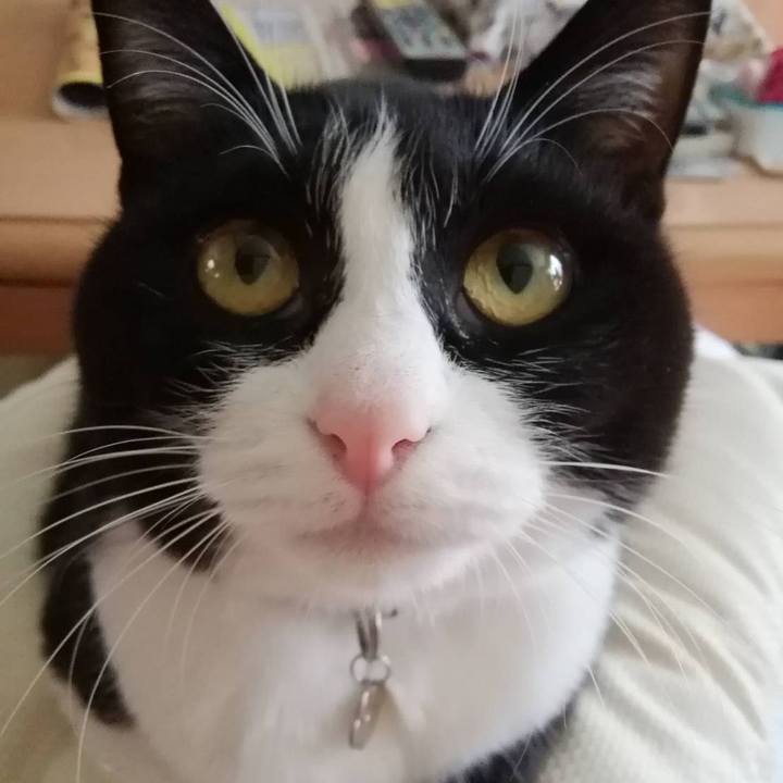 948cae89 0775 4c81 bf78 3e06825d9a5e 1602909281941