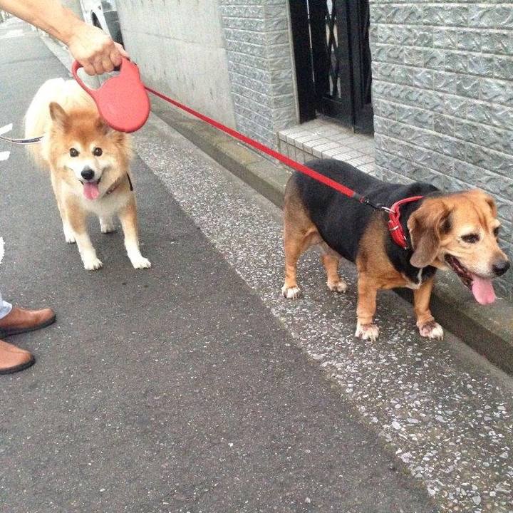 948cd6bc 9716 47fe b64c c719268fbf8c 1598059398853