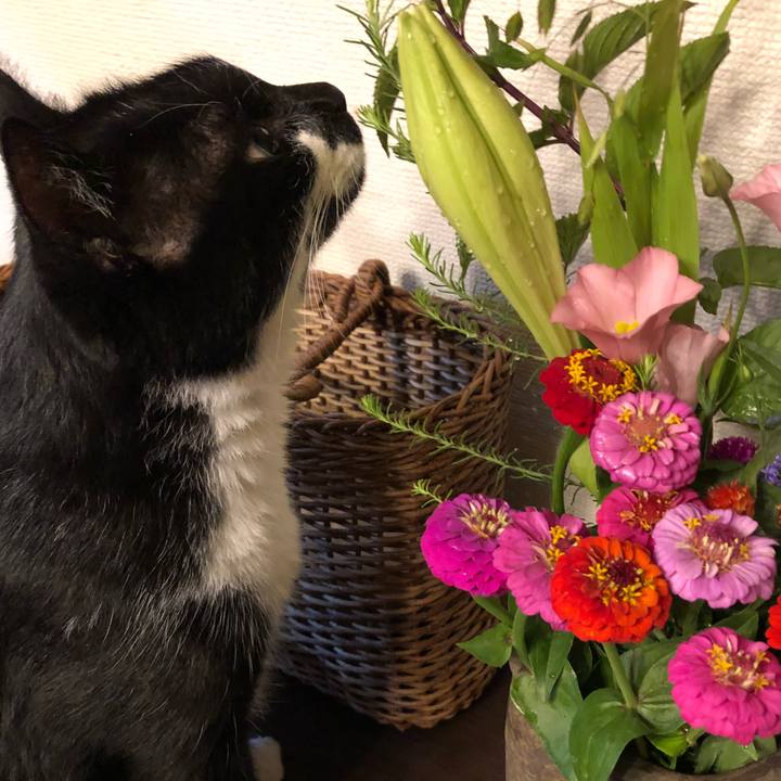 948ce256 62a6 45a2 b5e1 e92b7f16c586 1530832937742