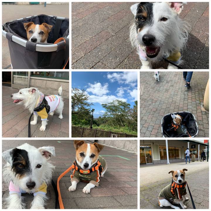 948cf8b8 1f50 428e adb6 a91c61041eba 1603264410619