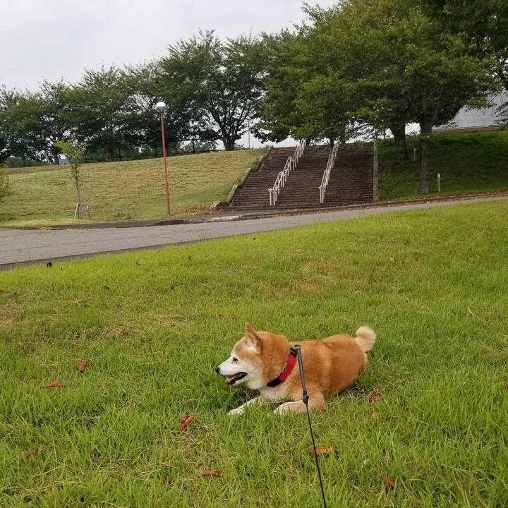 948cfaea 47fb 4f5a 96da 5950f8d7010c 1724055207942