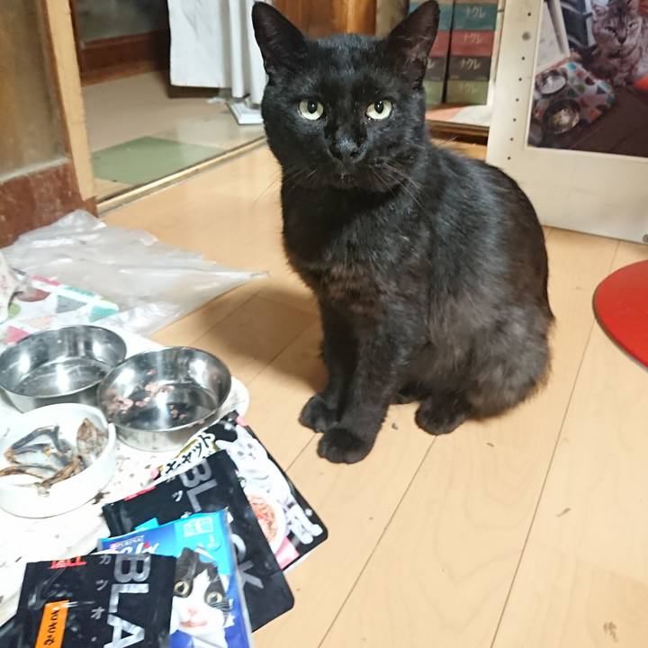 948d1198 e262 4111 bbc2 9fdb110cd399 1626089812061