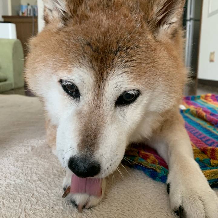 948d26e9 761d 4689 b711 c7723e475c72 1564279423200