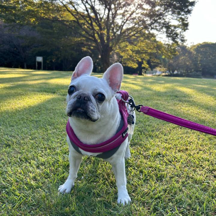 948d2a90 b8f4 4a24 89df 7e9067cd80b7 1728869855869