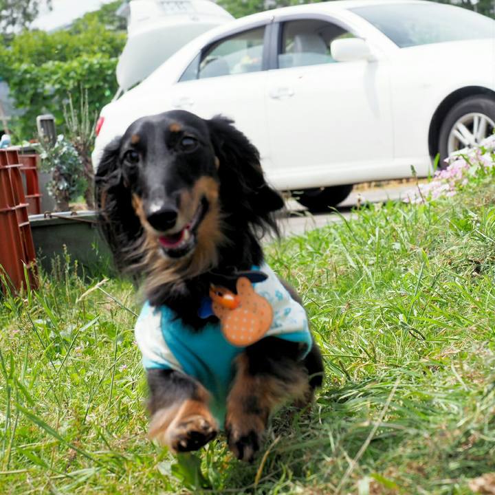 948d5757 bcde 4392 94fa 4f1e912a9ab9 1560479480233