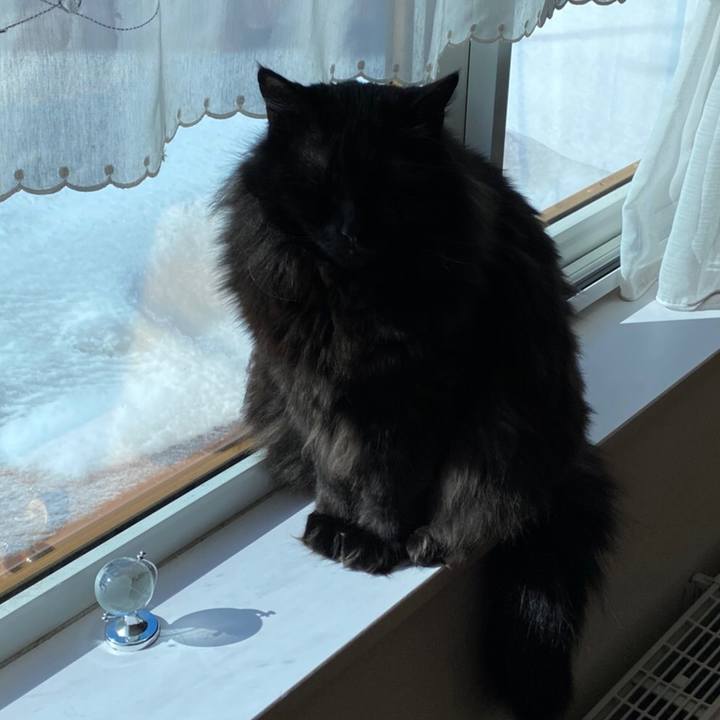 948db84d c6c2 4d9c b26f f961104e2fa6 1582904078925