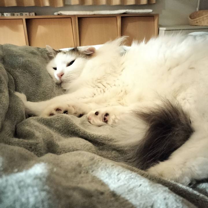 948db9fd d2a2 4016 851f f5df32abb76b 1767881590289