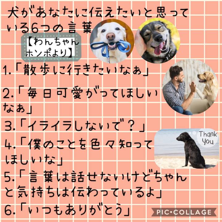 948dcbc8 c5f4 4a78 b98a 1dc6a56050d5 1565872163084