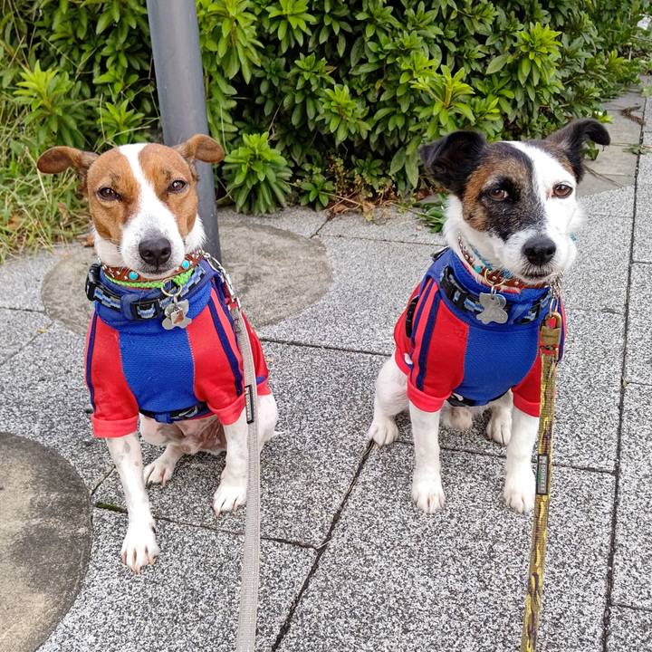 948e20f7 e3b9 47f7 a892 837b17462664 1634768218859