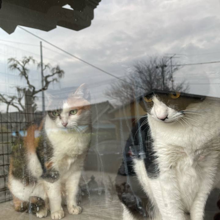 948e2f50 3319 4aaa 968e bc6580522485 1711895303997