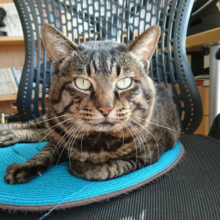 948e41db 156c 4e79 9aed 858a9d7766f3 1540248151026