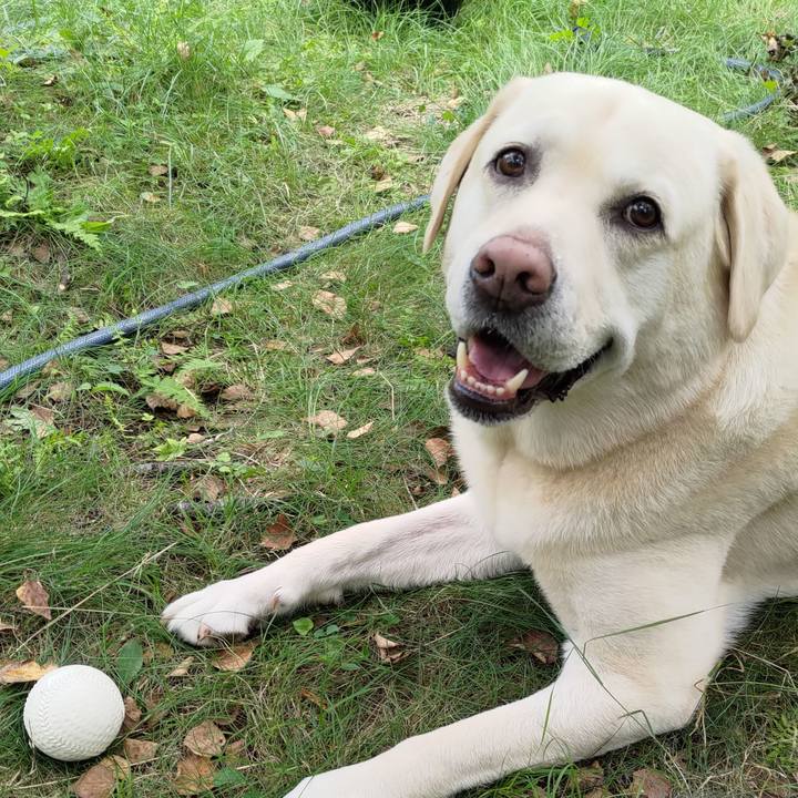 948e4de5 6c1f 46f4 8738 6b0eb043dade 1691817746100