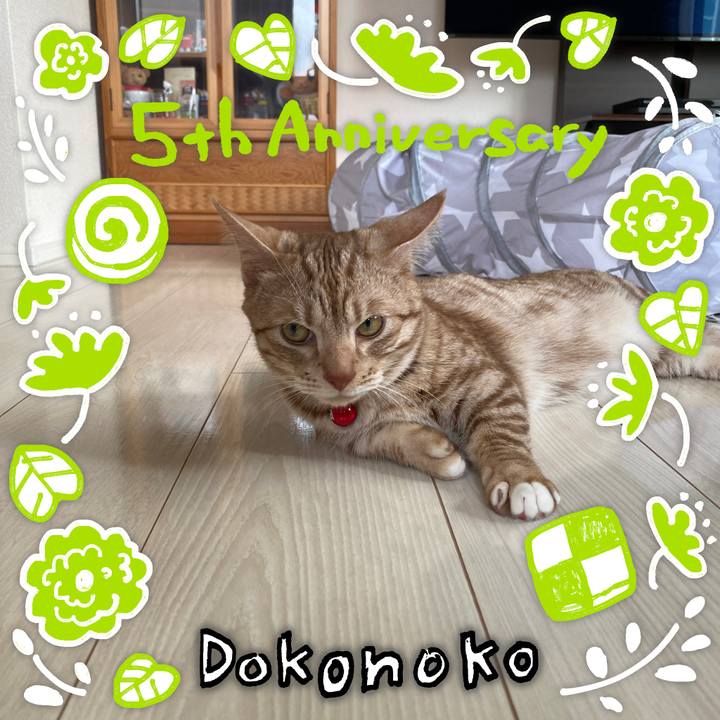 948e577d 988b 4059 aa1c dd501f65206e 1622852225727