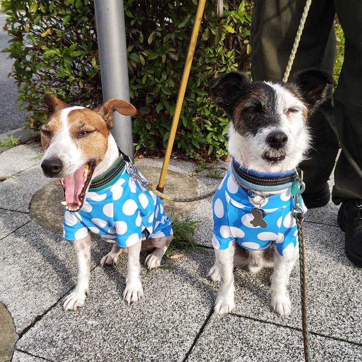 948eb1e7 4aff 4a04 ad03 7f77fda61e7c 1721857576929