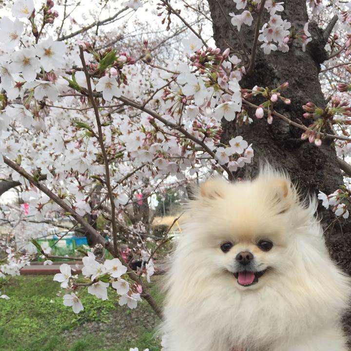 948eb614 abd6 4104 9fbd 33f7eee5284a 1554097905546