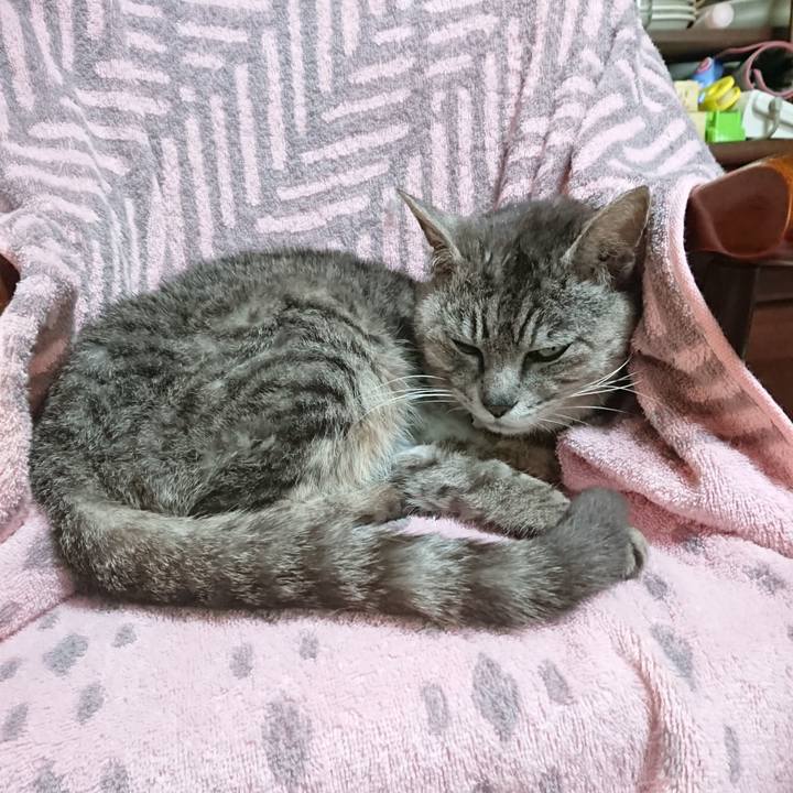 948ec2eb d0c8 4ffa a986 635cdeff8f66 1591221508115