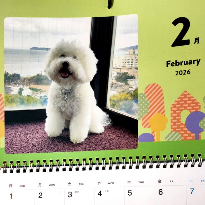 948ed4a0 6a06 46c7 a717 097034bd6c38 1770506232010