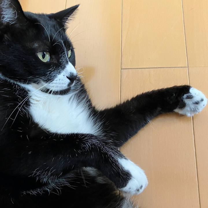 948eeef4 f8aa 44d1 8126 95c2a1f4a03c 1729137110165