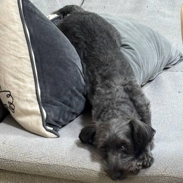 948f48f7 a1dc 4ff3 8ee3 b6a1b7c8fae4 1756127779410