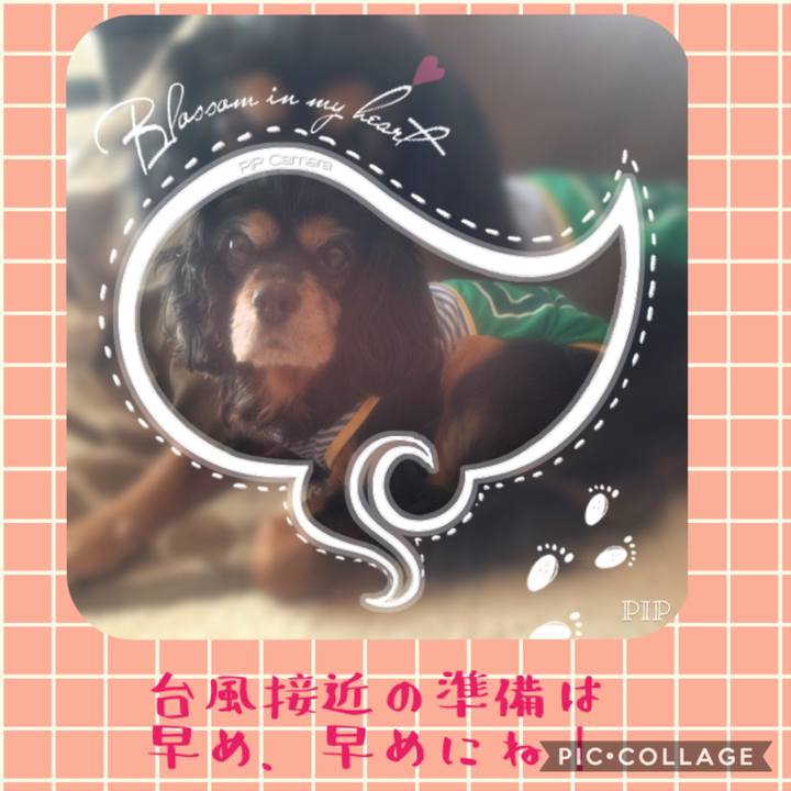 948f72a6 fe44 47bb afb2 fcd772e54c18 1538191442680