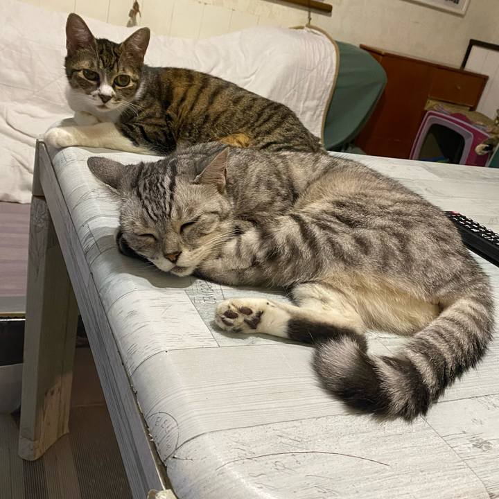 948f835e 7c7c 46f8 bac7 19c940ca9844 1659369176708