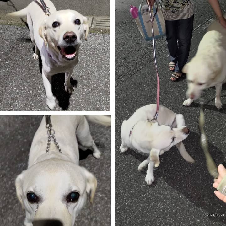 948f98ee 6877 437a 9443 9cbe384f9e5a 1716560176509