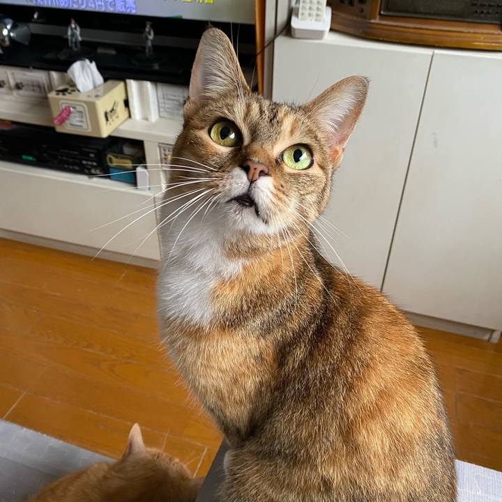 948fccc9 b237 42de a204 672707ffcedb 1621499458993