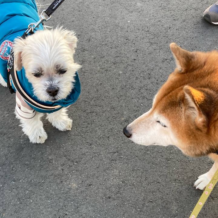 948fd4db 1356 4921 af3b 16b11499d739 1704798782474