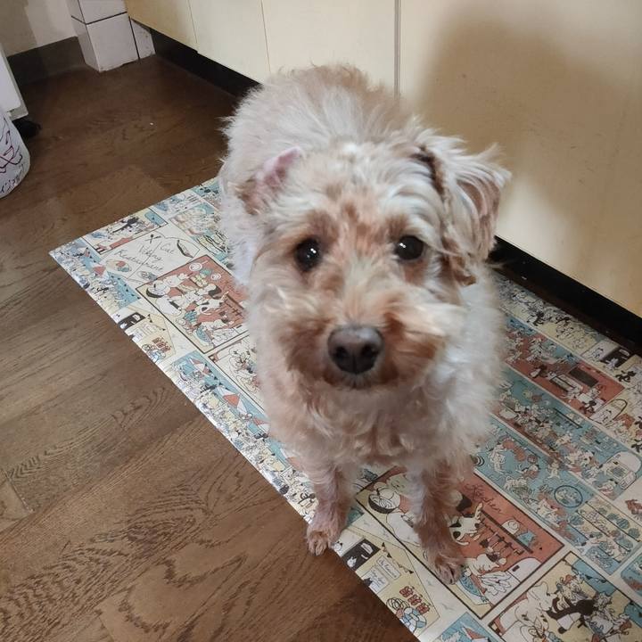 948feae8 8dfe 4d36 ba7d 546f2ed2c63b 1584998871267